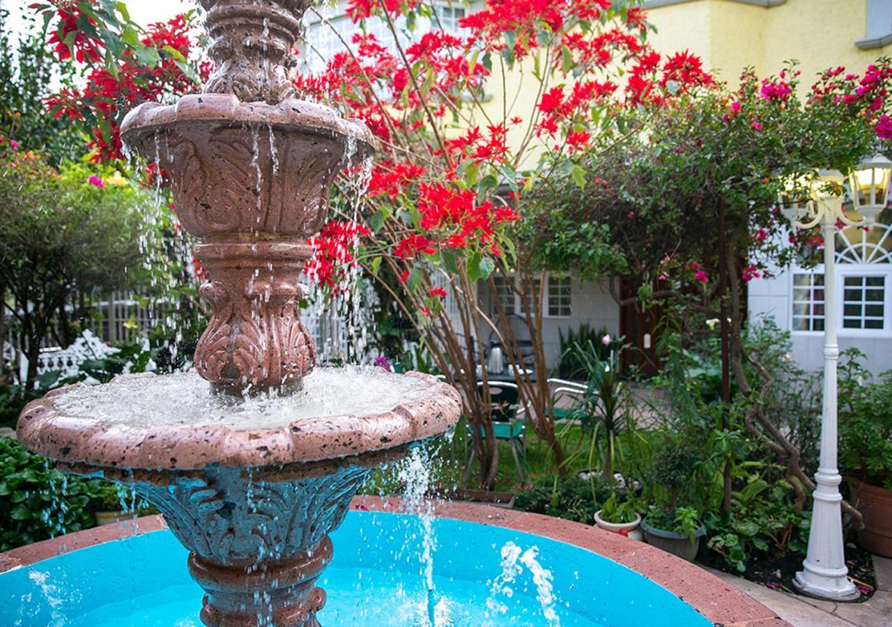 Casa San Pedro Mexico City Ngoại thất bức ảnh