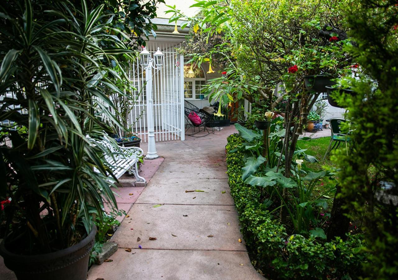 Casa San Pedro Mexico City Ngoại thất bức ảnh
